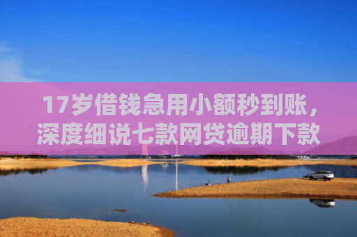 17岁借钱急用小额秒到账，深度细说七款网贷逾期下款口子