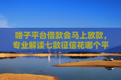 啥子平台借款会马上放款，专业解读七款征信花哪个平台可以下款