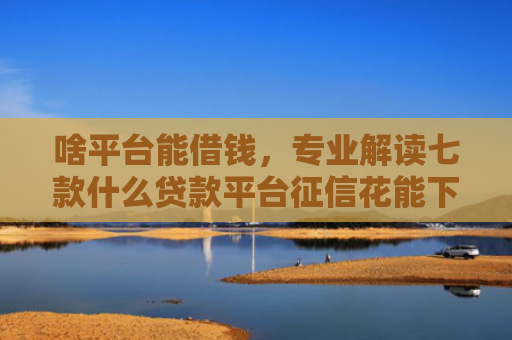 啥平台能借钱，专业解读七款什么贷款平台征信花能下款