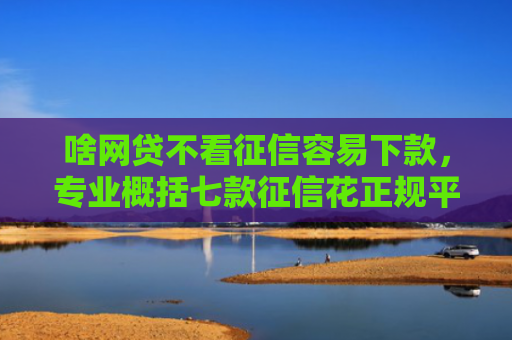 啥网贷不看征信容易下款，专业概括七款征信花正规平台能下款吗