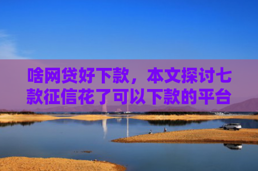 啥网贷好下款，本文探讨七款征信花了可以下款的平台