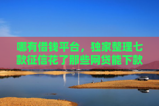 哪有借钱平台，独家整理七款征信花了那些网贷能下款