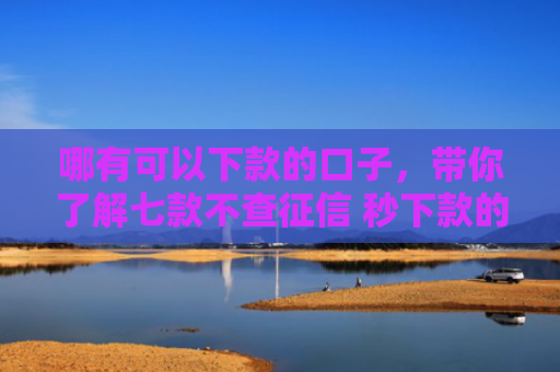 哪有可以下款的口子，带你了解七款不查征信 秒下款的网贷