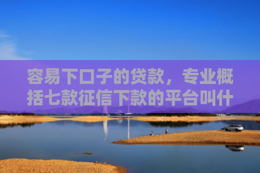 容易下口子的贷款，专业概括七款征信下款的平台叫什么
