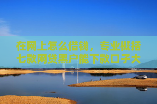 在网上怎么借钱，专业概括七款网贷黑户能下款口子大额