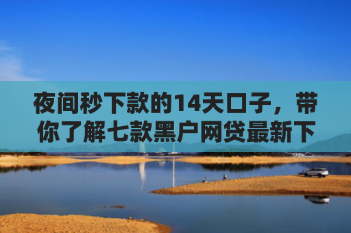 夜间秒下款的14天口子，带你了解七款黑户网贷最新下款口子