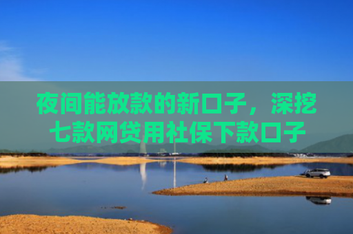 夜间能放款的新口子，深挖七款网贷用社保下款口子