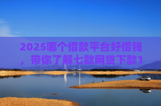 2025哪个借款平台好借钱，带你了解七款网贷下款1000的口子