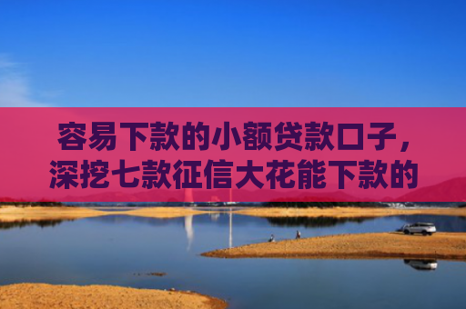 容易下款的小额贷款口子，深挖七款征信大花能下款的平台