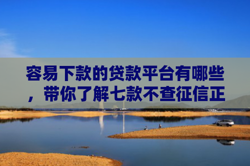 容易下款的贷款平台有哪些，带你了解七款不查征信正规下款的平台