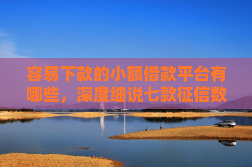 容易下款的小额借款平台有哪些，深度细说七款征信数据花能下款的平台