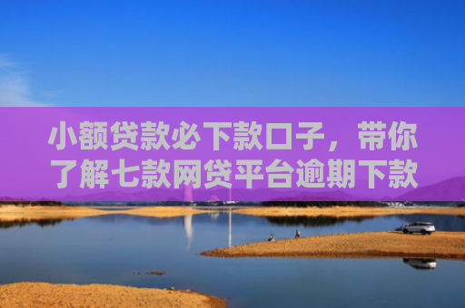 小额贷款必下款口子，带你了解七款网贷平台逾期下款口子