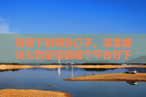 容易下的网贷口子，深度细说七款征信差哪个平台好下款的