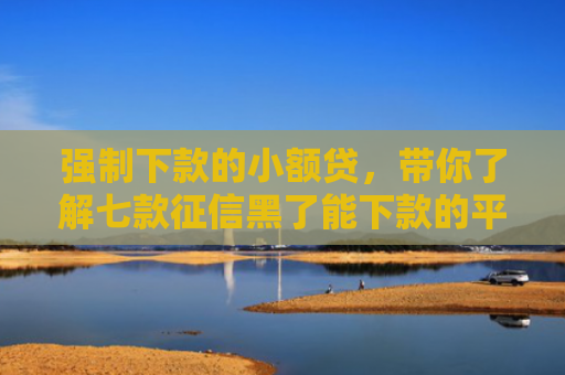强制下款的小额贷，带你了解七款征信黑了能下款的平台