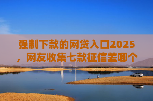 强制下款的网贷入口2025，网友收集七款征信差哪个平台好下款app