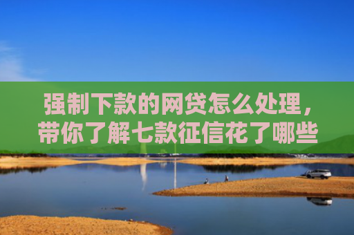 强制下款的网贷怎么处理，带你了解七款征信花了哪些平台能下款