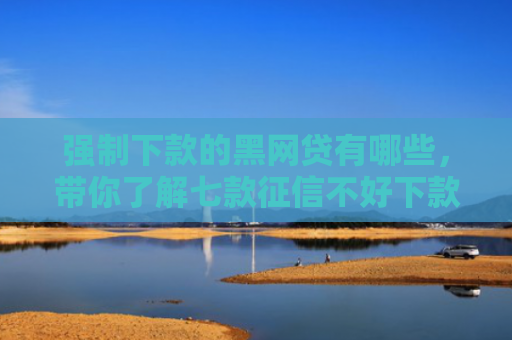 强制下款的黑网贷有哪些，带你了解七款征信不好下款容易的平台