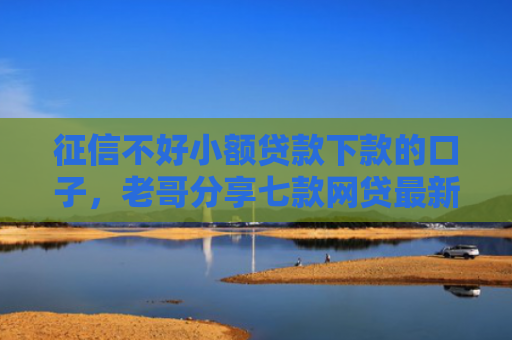 征信不好小额贷款下款的口子，老哥分享七款网贷最新好下款口子论坛