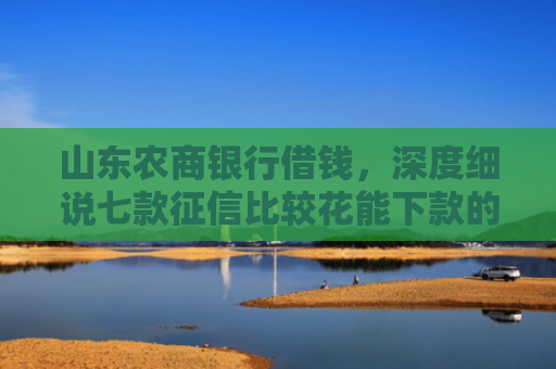 山东农商银行借钱，深度细说七款征信比较花能下款的平台