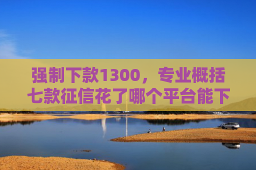 强制下款1300，专业概括七款征信花了哪个平台能下款