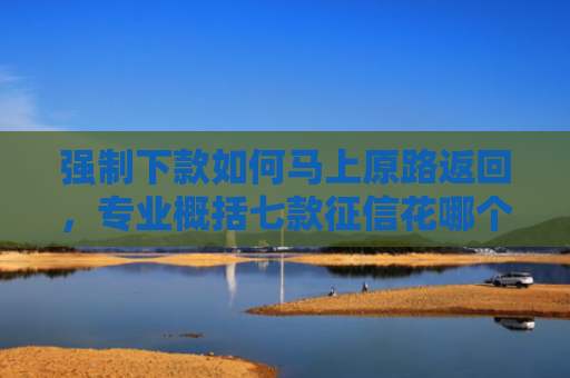 强制下款如何马上原路返回，专业概括七款征信花哪个平台必下款