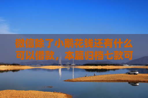微信除了小鹅花钱还有什么可以借款，本篇归档七款可下款的网贷口子