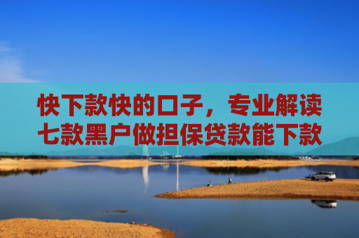 快下款快的口子，专业解读七款黑户做担保贷款能下款吗