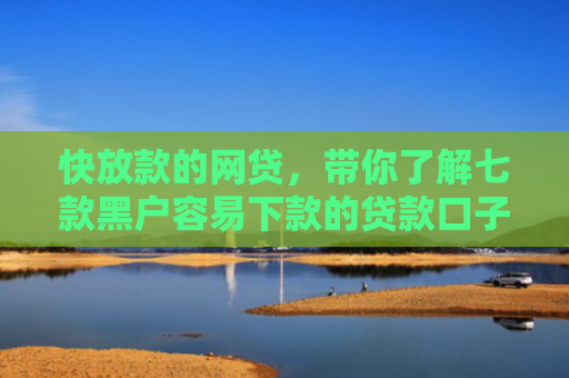 快放款的网贷，带你了解七款黑户容易下款的贷款口子