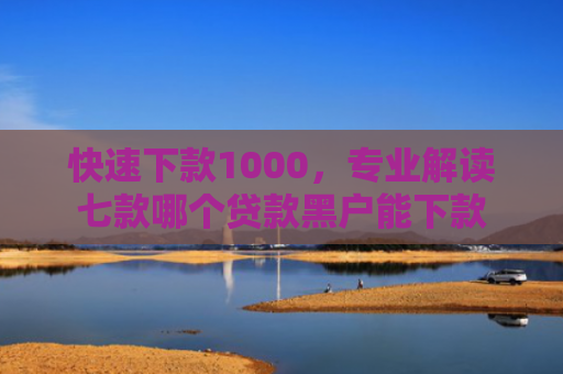 快速下款1000，专业解读七款哪个贷款黑户能下款