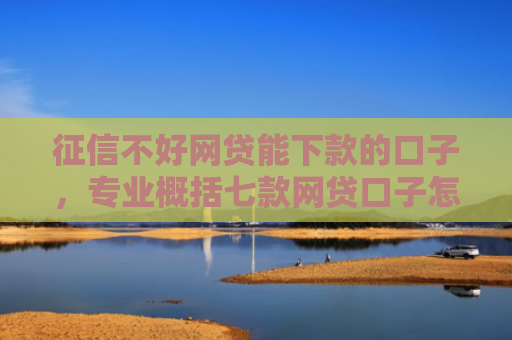征信不好网贷能下款的口子，专业概括七款网贷口子怎么填下款高