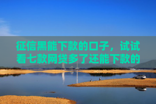 征信黑能下款的口子，试试看七款网贷多了还能下款的口子
