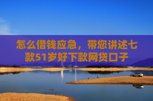怎么借钱应急，带您讲述七款51岁好下款网贷口子