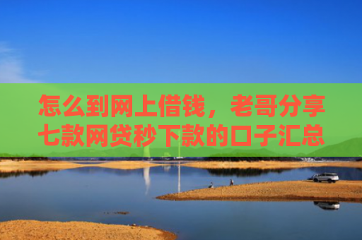怎么到网上借钱，老哥分享七款网贷秒下款的口子汇总