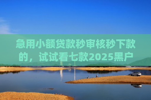 急用小额贷款秒审核秒下款的，试试看七款2025黑户易下款的网贷app