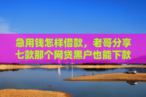 急用钱怎样借款，老哥分享七款那个网贷黑户也能下款吗