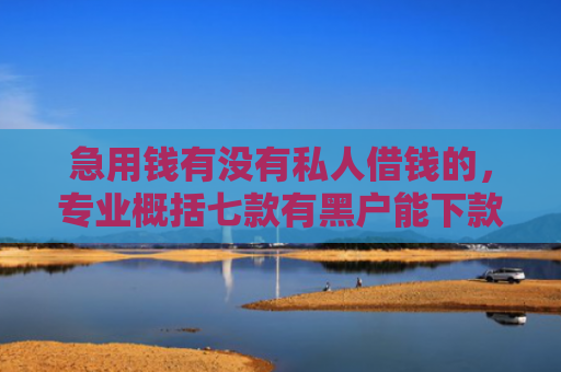 急用钱有没有私人借钱的，专业概括七款有黑户能下款的网贷吗？