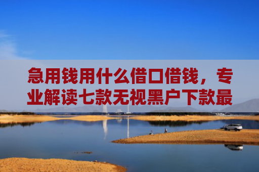 急用钱用什么借口借钱，专业解读七款无视黑户下款最快的网贷