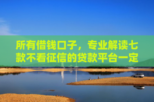 所有借钱口子，专业解读七款不看征信的贷款平台一定能下款