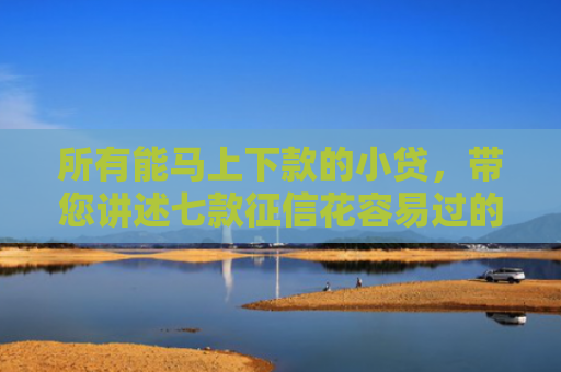 所有能马上下款的小贷，带您讲述七款征信花容易过的贷款能下款吗