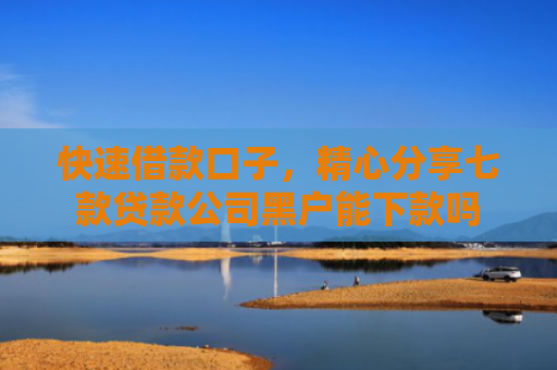 快速借款口子，精心分享七款贷款公司黑户能下款吗