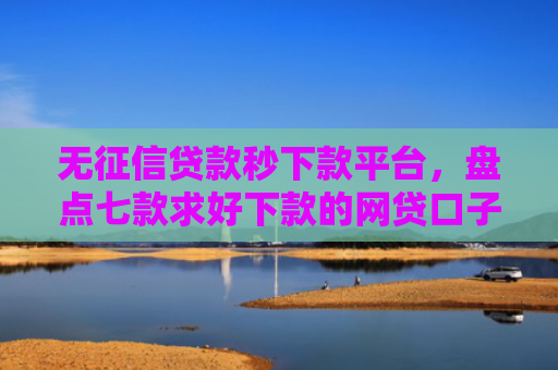 无征信贷款秒下款平台，盘点七款求好下款的网贷口子