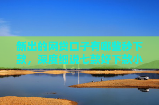 新出的网贷口子有哪些秒下款，深度细说七款好下款小额网贷口子