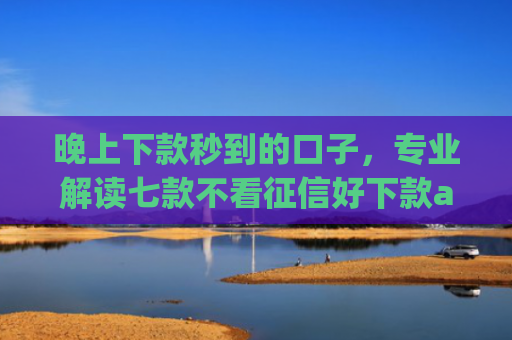 晚上下款秒到的口子，专业解读七款不看征信好下款app