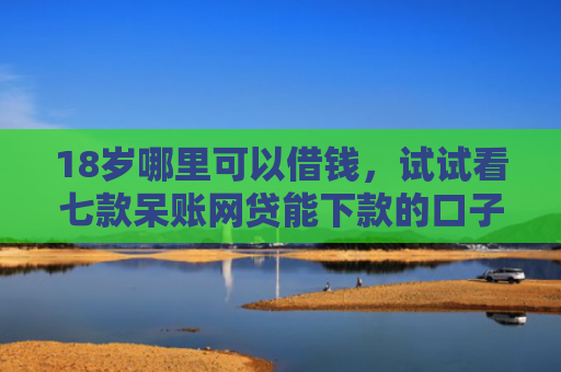 18岁哪里可以借钱，试试看七款呆账网贷能下款的口子