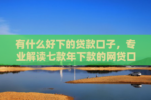 有什么好下的贷款口子，专业解读七款年下款的网贷口子