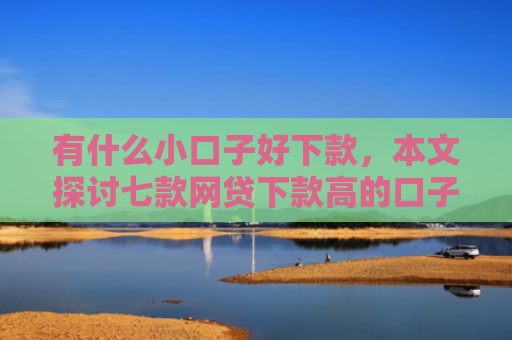有什么小口子好下款，本文探讨七款网贷下款高的口子