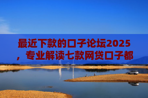 最近下款的口子论坛2025，专业解读七款网贷口子都不下款了