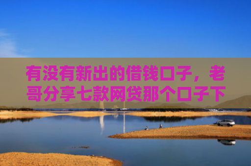 有没有新出的借钱口子，老哥分享七款网贷那个口子下款快