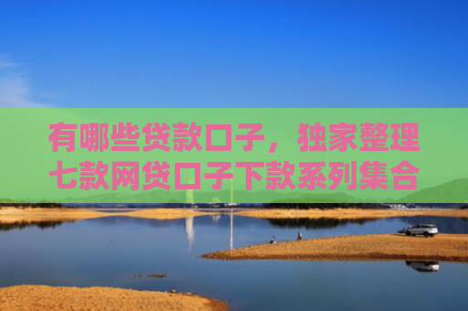 有哪些贷款口子，独家整理七款网贷口子下款系列集合