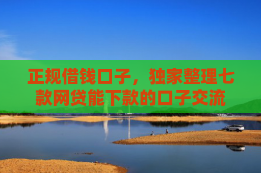 正规借钱口子，独家整理七款网贷能下款的口子交流